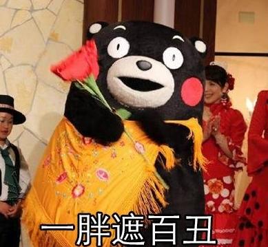 熊本熊胖了也有表情好处免费版下载1(熊本搞笑gif图片微表情包信熊图片