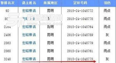 归巢查鸽子环号查询软件官方pc版下载免费版