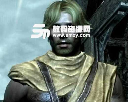 上古卷轴5天际美化士兵MOD下载(上古卷轴5M