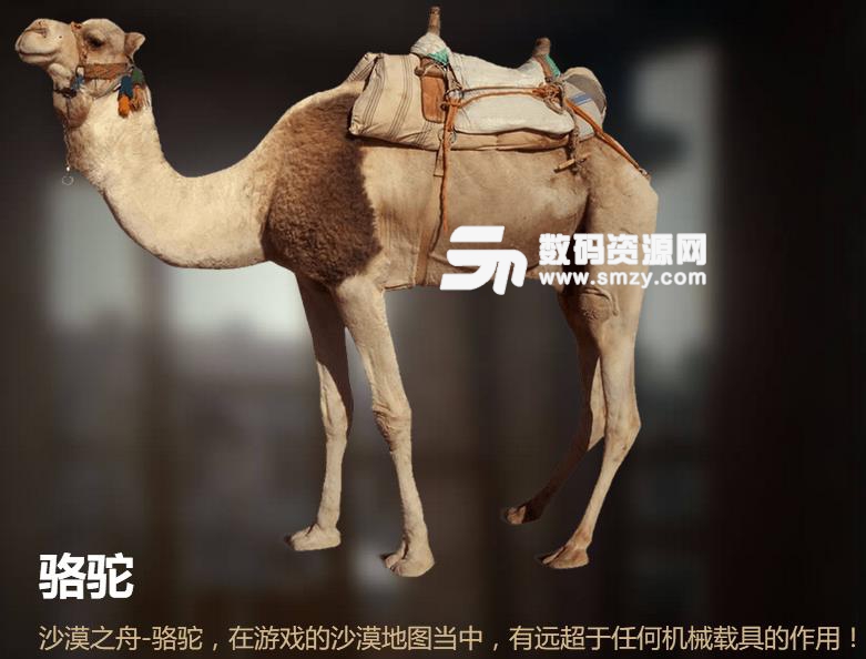 代号龙下载|绝地风云荒漠求生官方版下载(国产