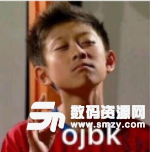 完全OJBK表情包下载(QQ表情) 绿色版