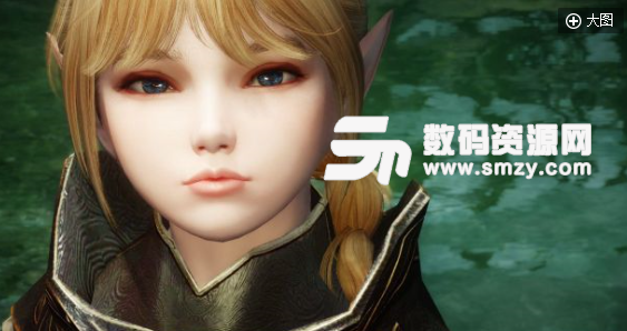 上古卷轴5天际金发精灵随从MOD下载v1.0 最新