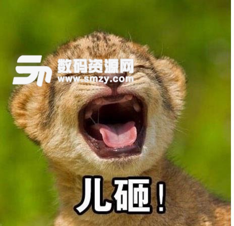 一脸不解表情情表通柯基包卡图片