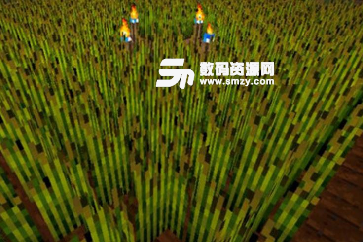 我的世界加速火把MOD介绍