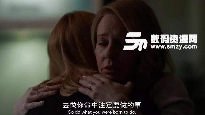 国土安全第七季第十一集剧情: