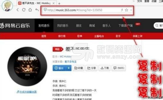 网易云音乐下载解析器绿色版功能