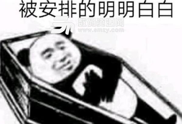 抖音安排一下表情包