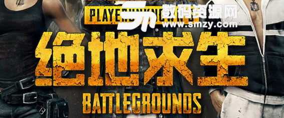 绝地求生米老鼠套装领取信用卡填写技巧