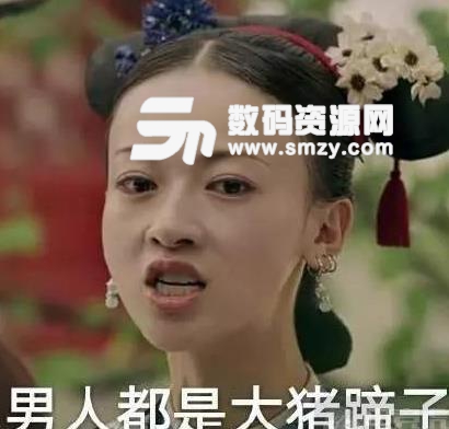 延禧攻略男人都是大猪蹄子表情包(糟糕是男人的臭味) 高清版