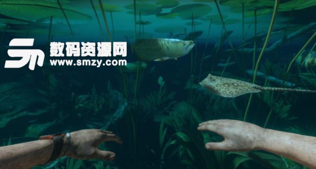 丛林地狱多功能修改器