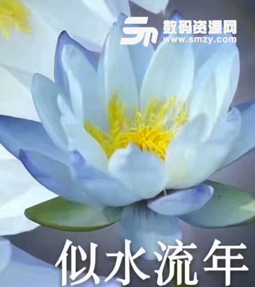 见好就收老年人莲花表情表情包的我回来放学图片