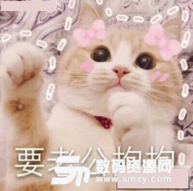 要老公抱抱表情包下载