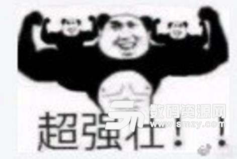 强壮熊猫头表情包(魔性表情包) 最新版