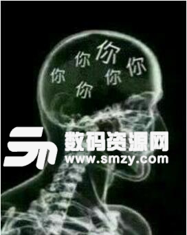 脑子ct图里面全是你表情包高清版(满脑子都是你) 无水印版