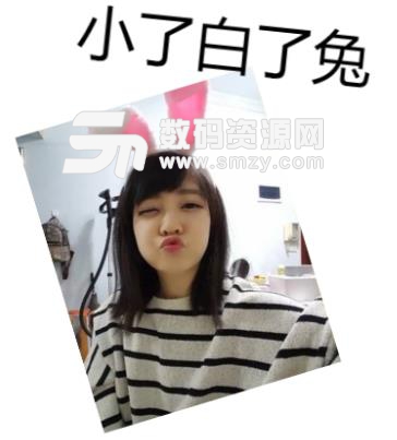 小了白了兔表情包(白了又了白) 无水印版