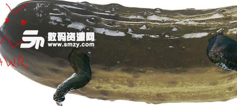 怪物猎人世界经典丝瓜配乐MOD下载