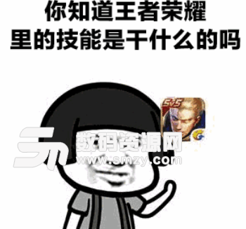 王者荣耀技能表白表情包(qq表情) 最新版