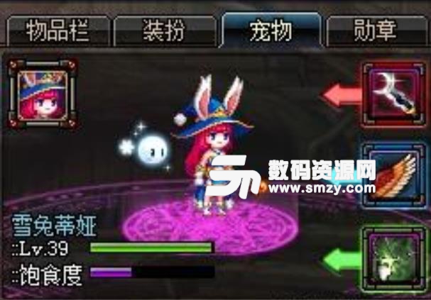 DNF屏蔽2019春节宠物技能特效防卡补丁