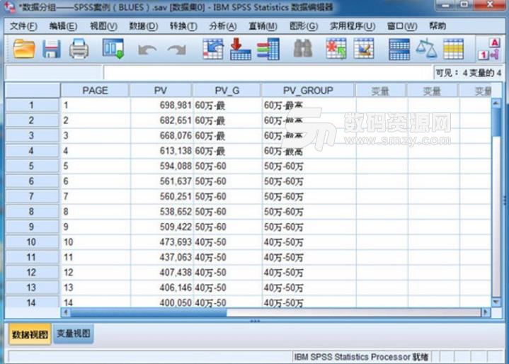 IBM SPSS Statistics22特别版(数据分析工具) 最