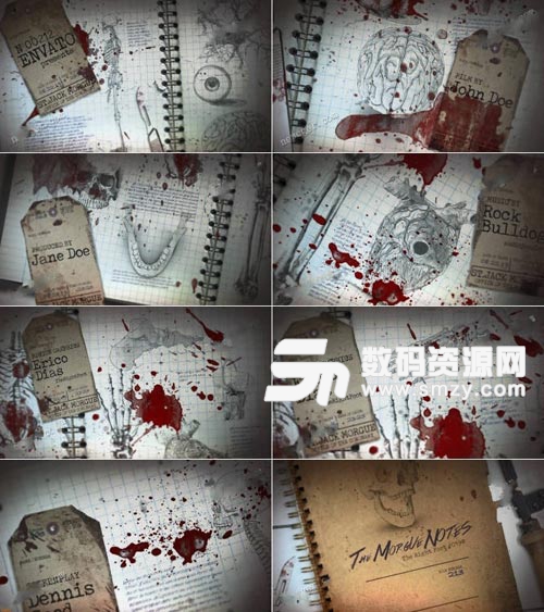 血腥恐怖的人体器官笔记本开场模板