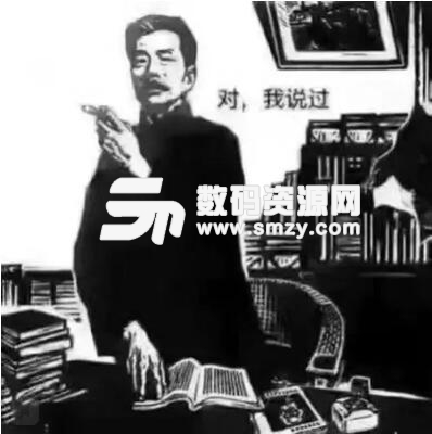 鲁迅说过的话表情无水表情使不得阿姨印版包图片