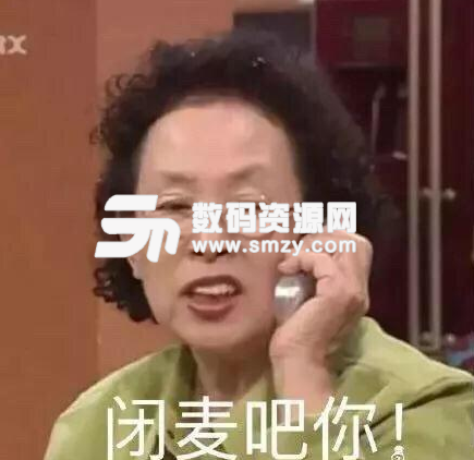 搞笑阿姨表情包(你这是在跟我容儿做对) 免费版