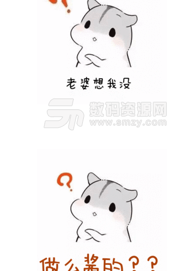 仓鼠问号表情包(微信表情包) 免费版
