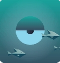 鲸鱼跑酷手游安卓版(跑酷类手机休闲游戏) v1.2 Android版