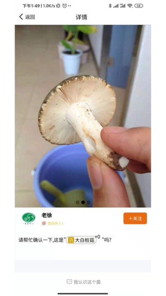 菌窝子软件 截图3