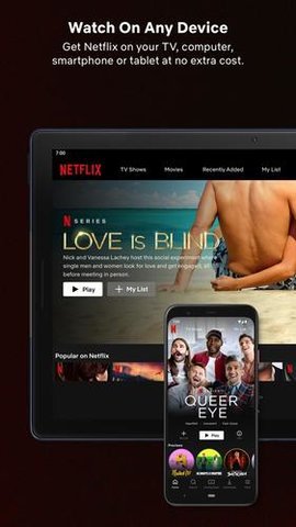 奈飞netflix 截图1