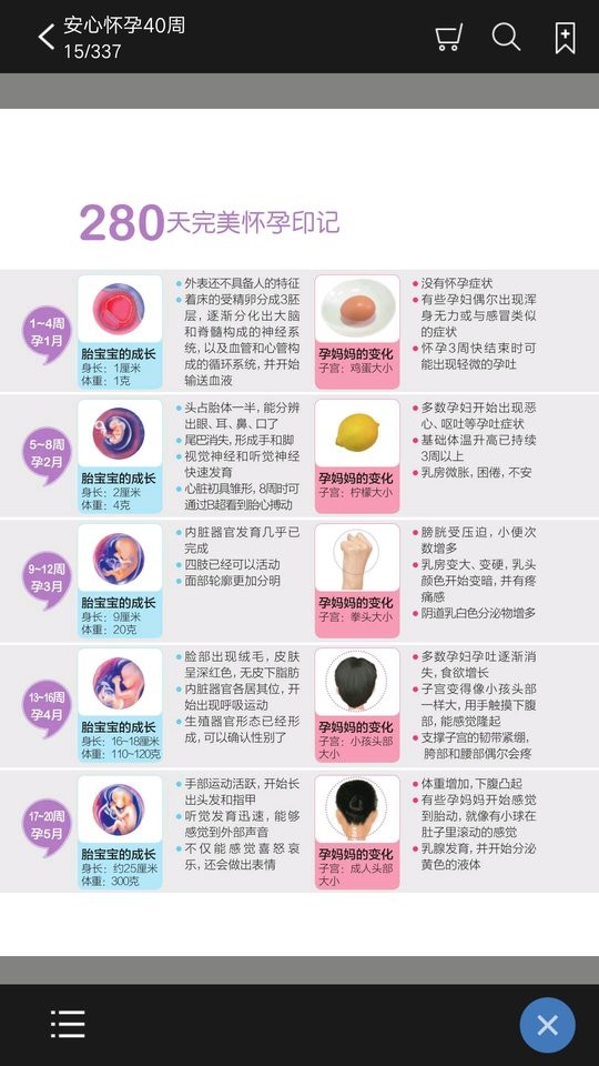 安心怀孕40周手机版 截图3