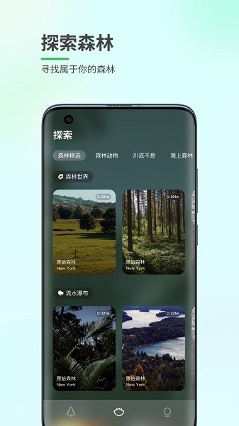 森林白噪音软件 1.0.1 截图1