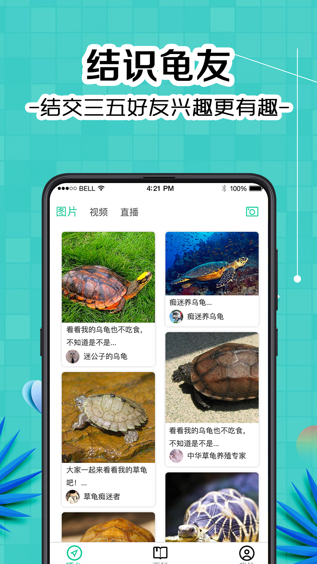 龟友宠物圈app 截图4