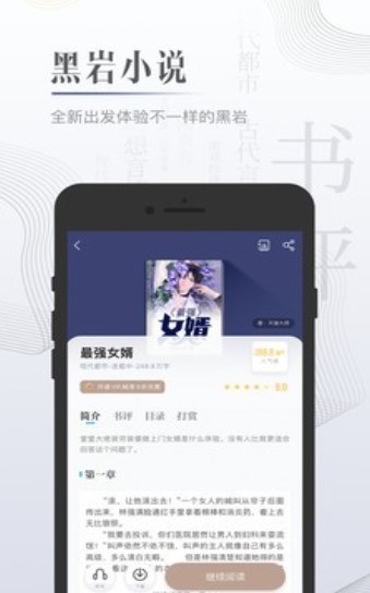 黑岩小说 截图1