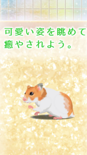 Hamster(治愈的仓鼠养成) 1