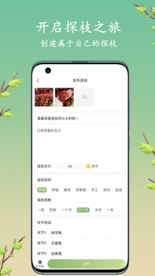 探枝APP 截图2