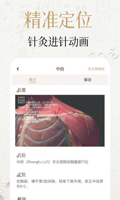 中济经络穴位app免费版 截图2
