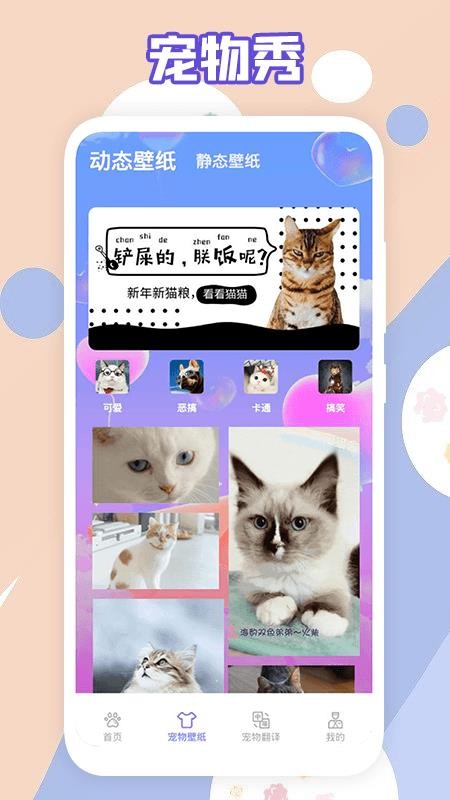 萌猫乐园最新版 1.1 截图2