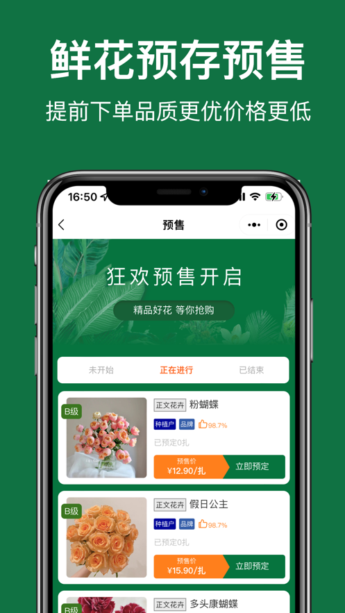 斗南花城 截图5