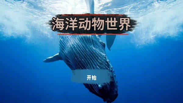 海洋动物世界 截图2