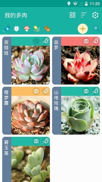 多肉成长记手机版 截图2