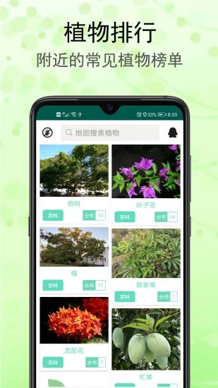 识花草app 截图3