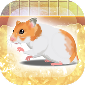 Hamster(治愈的仓鼠养成)