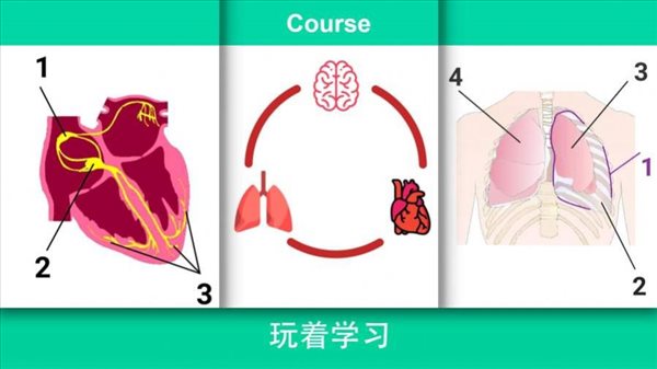 现实医疗模拟器 1