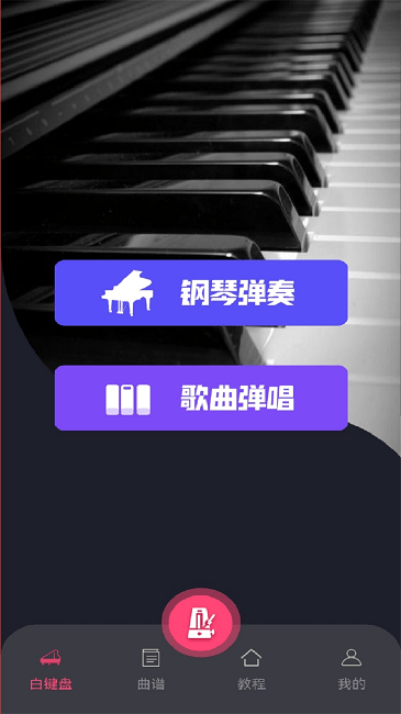 指尖上的钢琴大师 截图1