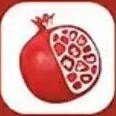 石榴铺app