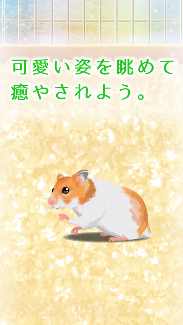 Hamster(治愈的仓鼠养成) 截图2