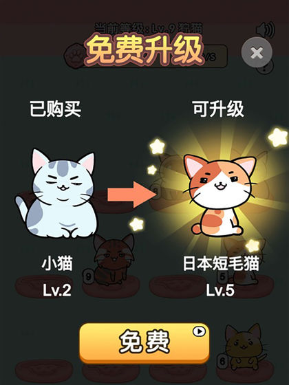 我的小猫 截图3