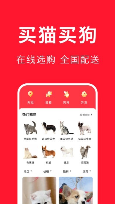 宠物宝app 截图1