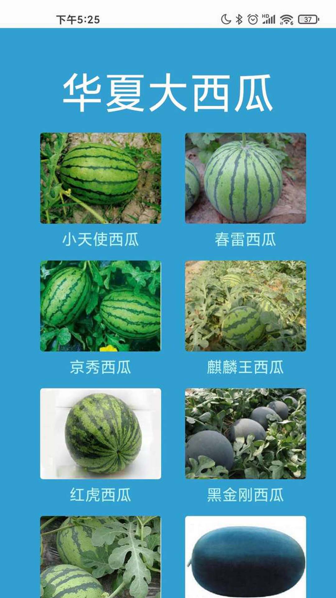 华夏大西瓜app 截图2